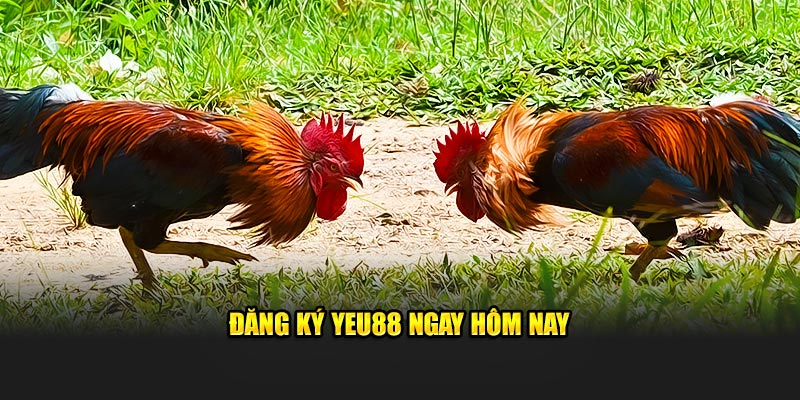 Đăng ký Yeu88 ngay hôm nay